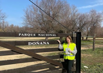 AUDITORÍAS - QMC ASOCIADOS